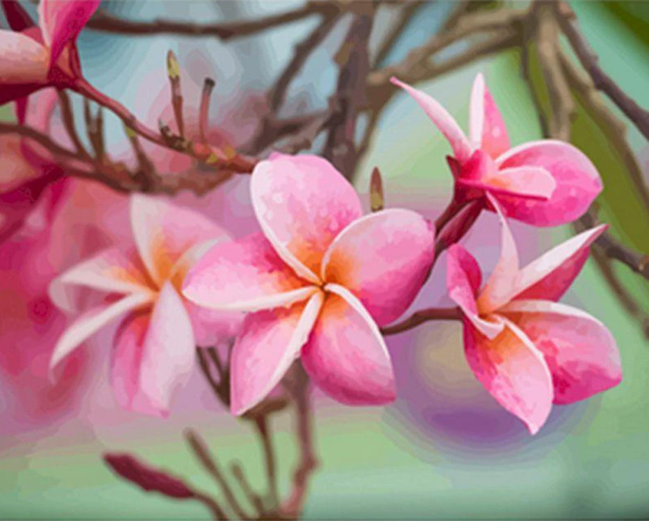 Ramas de Plumerias Rubras con Gotas de Agua Pintar por Números