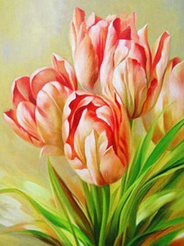 Ramo de Tulipanes en Color Rojo y Blanco Pintar por Números
