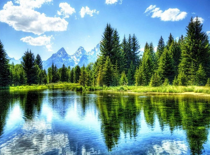 Reflejos del Cielo Azul y Bosque Pintar por Números