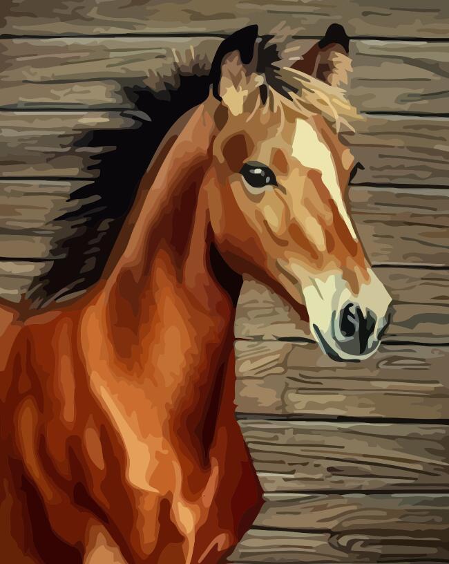 Retrato de Caballo Marrón con Melena Negra Pintar por Números