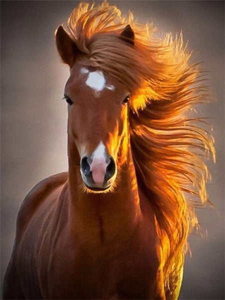 Retrato de Caballo Marrón Pintar por Números