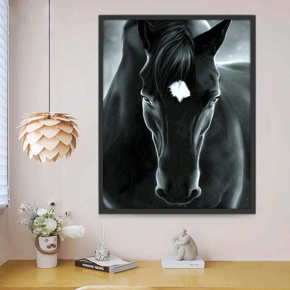 Retrato de Caballo Negro Pintar por Números