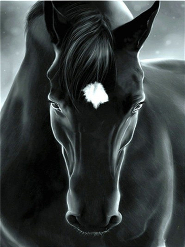 Retrato de Caballo Negro Pintar por Números