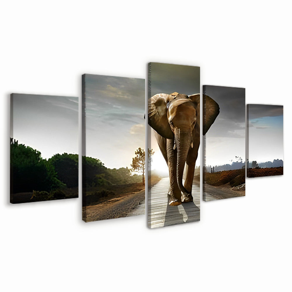 Retrato de Elefante 5 Partes Pintar por Números