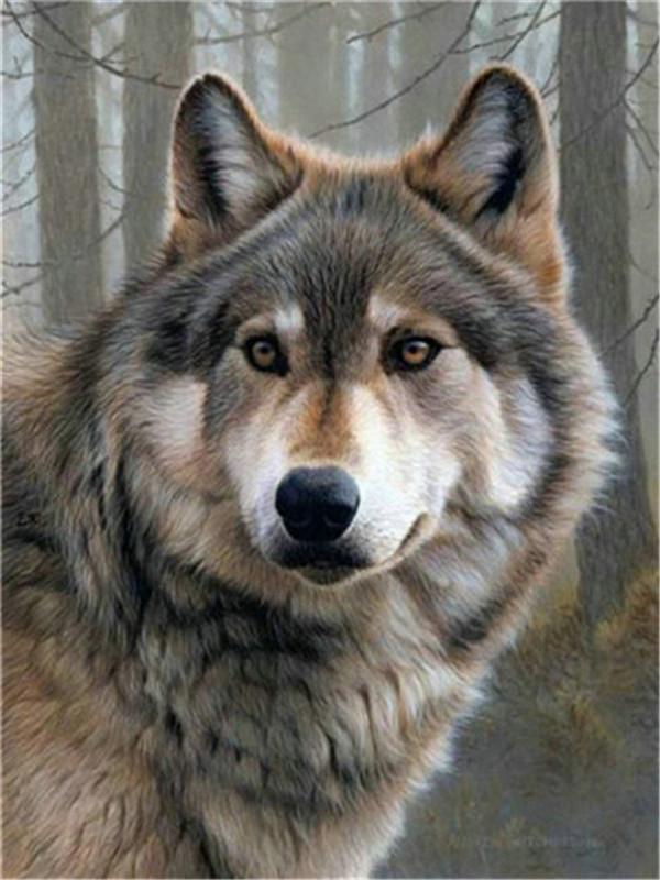 Retrato de Lobo con Fondo de Árboles Pintar por Números