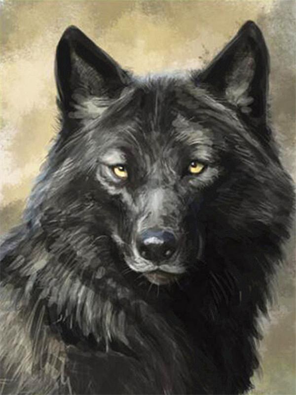 Retrato de Lobo Negro Mirando Hacia Arriba Pintar por Números