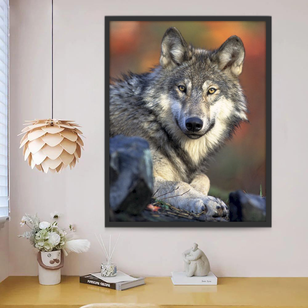 Retrato de Lobo Sentado sobre Roca Pintar por Números