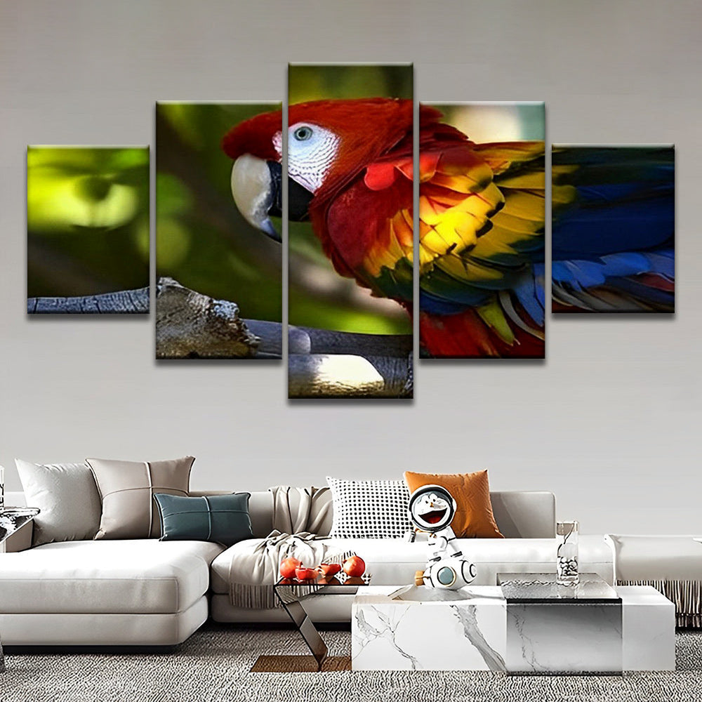 Retrato de Papagayo de Plumas Coloridas 5 Partes Pintar por Números