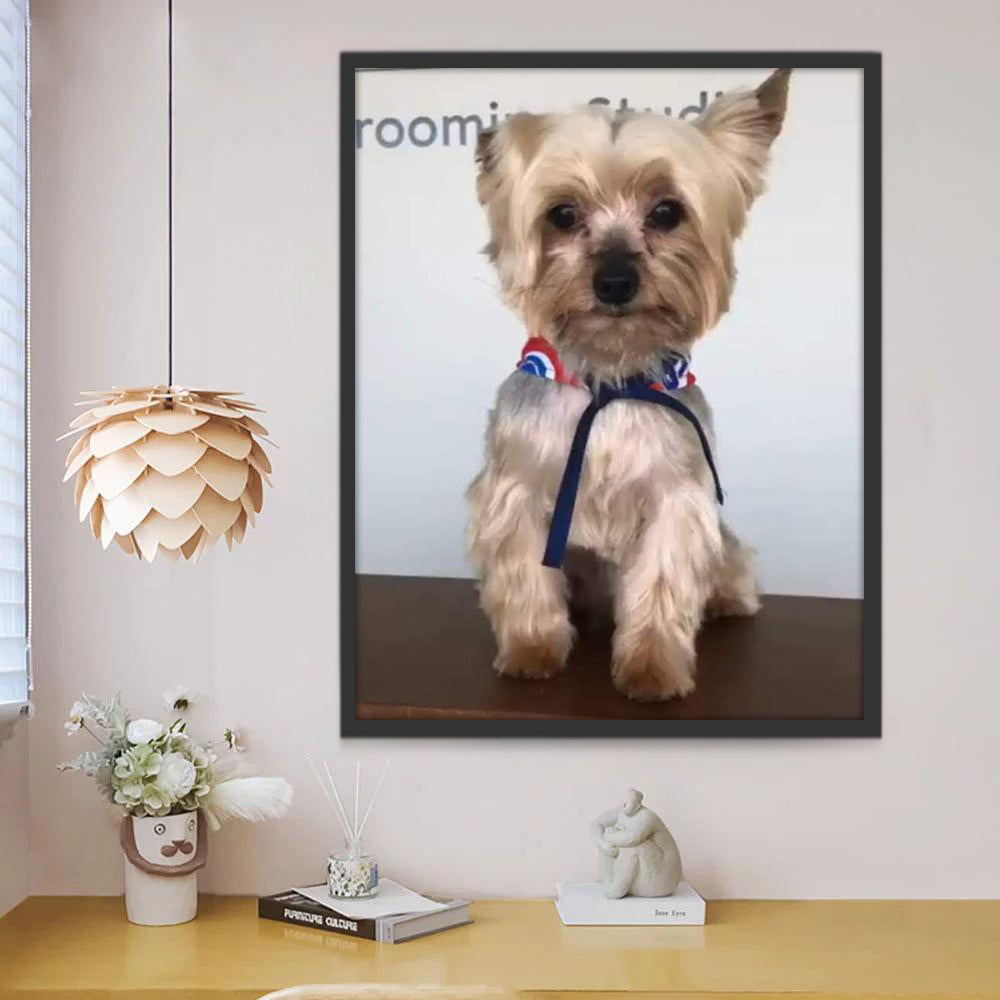 Retrato de Perro Lindo Pintar por Números