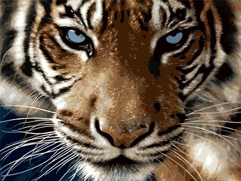 Retrato de Tigre con Ojos Azules Pintar por Números