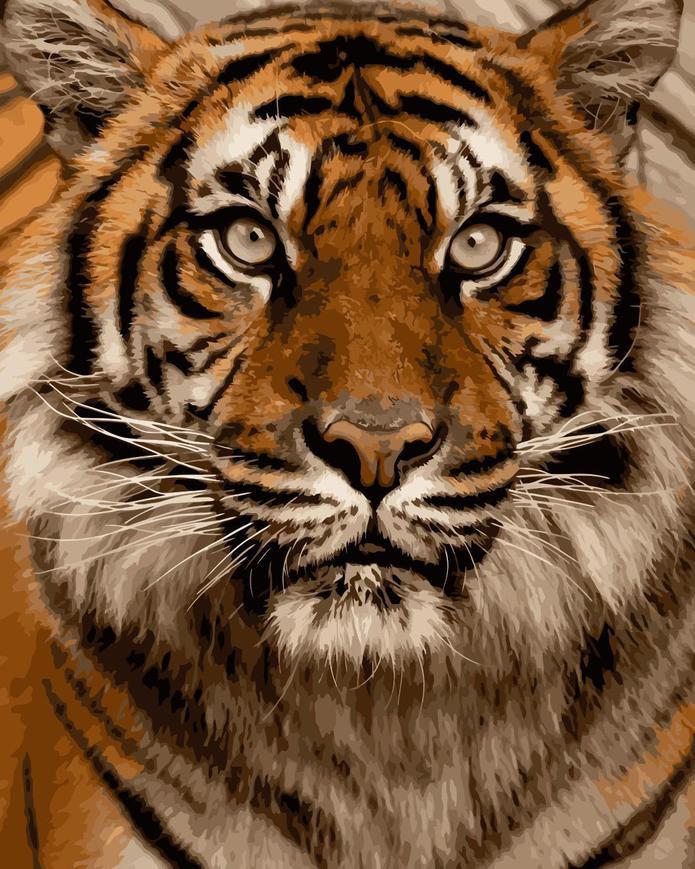 Retrato de Tigre Pintar por Números