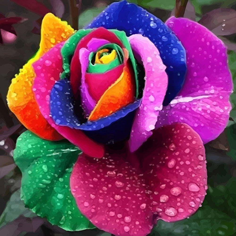 Rosa Arcoíris con Gotas de Agua Pintar por Números
