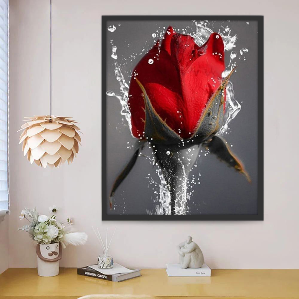 Rosa Roja con Agua Salpicada y Fondo Gris Pintar por Números