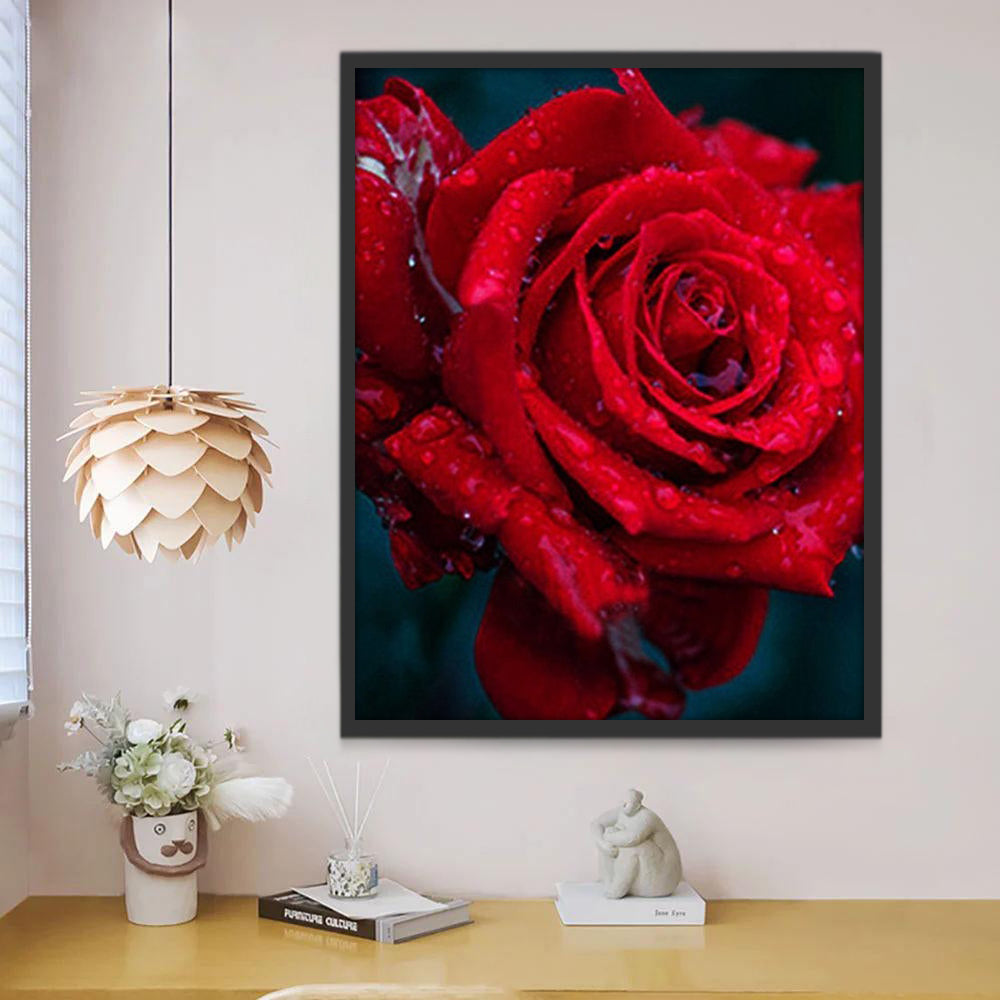 Rosa Roja con Gotas de Agua de Cerca Pintar por Números