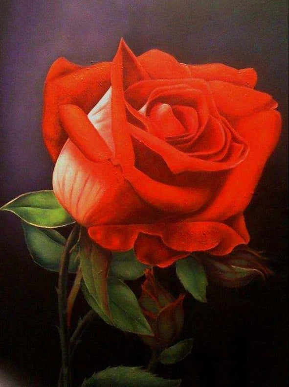 Rosa Roja con Hojas Verdes en la Oscuridad Pintar por Números