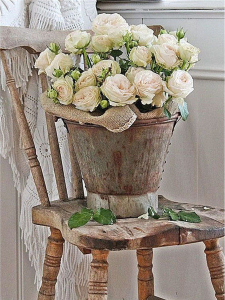 Rosas Blancas en Cubo sobre Silla de Madera Pintar por Números