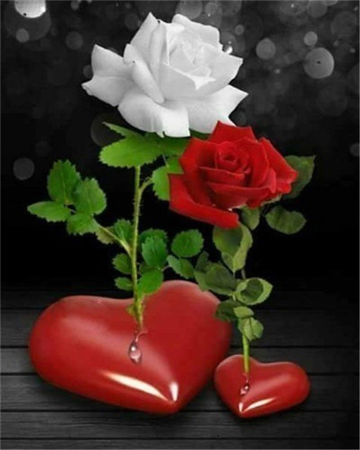 Rosas de Color Blanco y Rojo sobre Corazones Pintar por Números