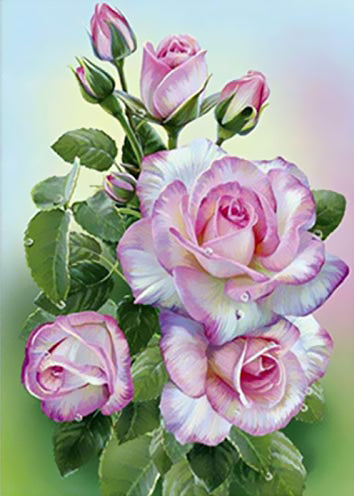 Rosas Hermosas con el Fondo Difuso Pintar por Números