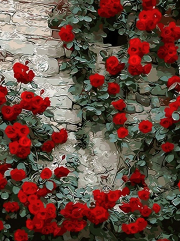 Rosas Rojas Bonitas en la Pared Pintar por Números