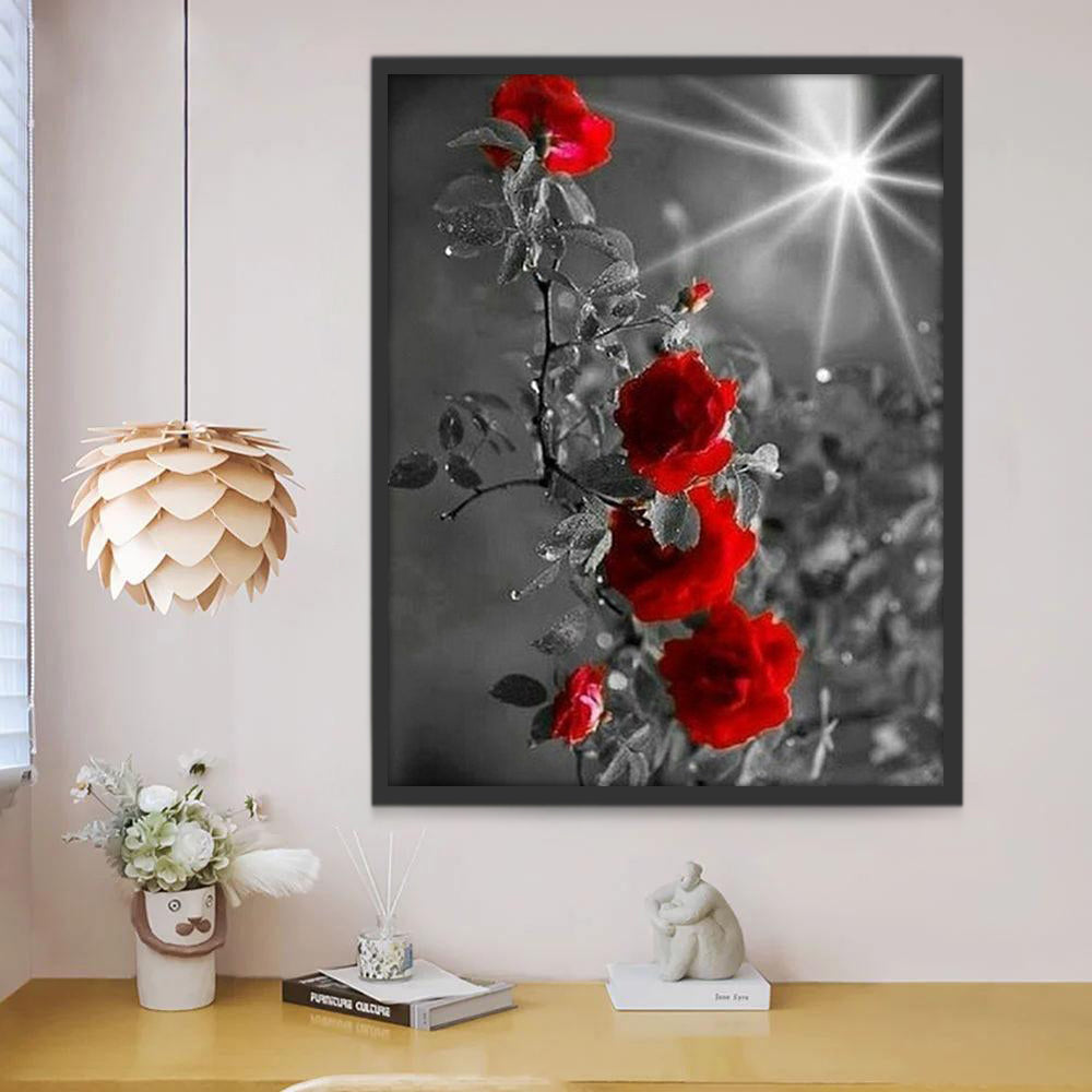 Rosas Rojas con Fondo en Blanco y Negro Pintar por Números