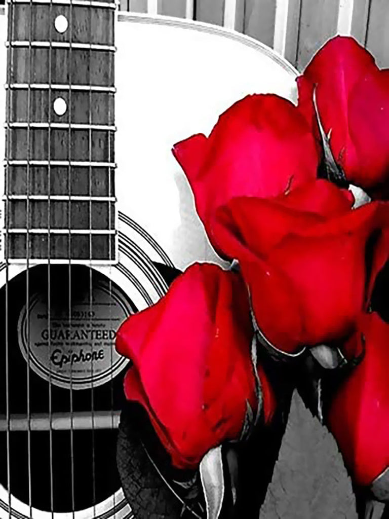 Rosas Rojas sobre Guitarra en Blanco y Negro Pintar por Números