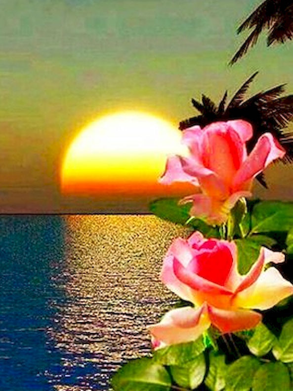 Rosas y Palmeras y Mar al Atardecer Pintar por Números