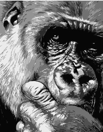 Rostro de Chimpancé en Blanco y Negro Pintar por Números