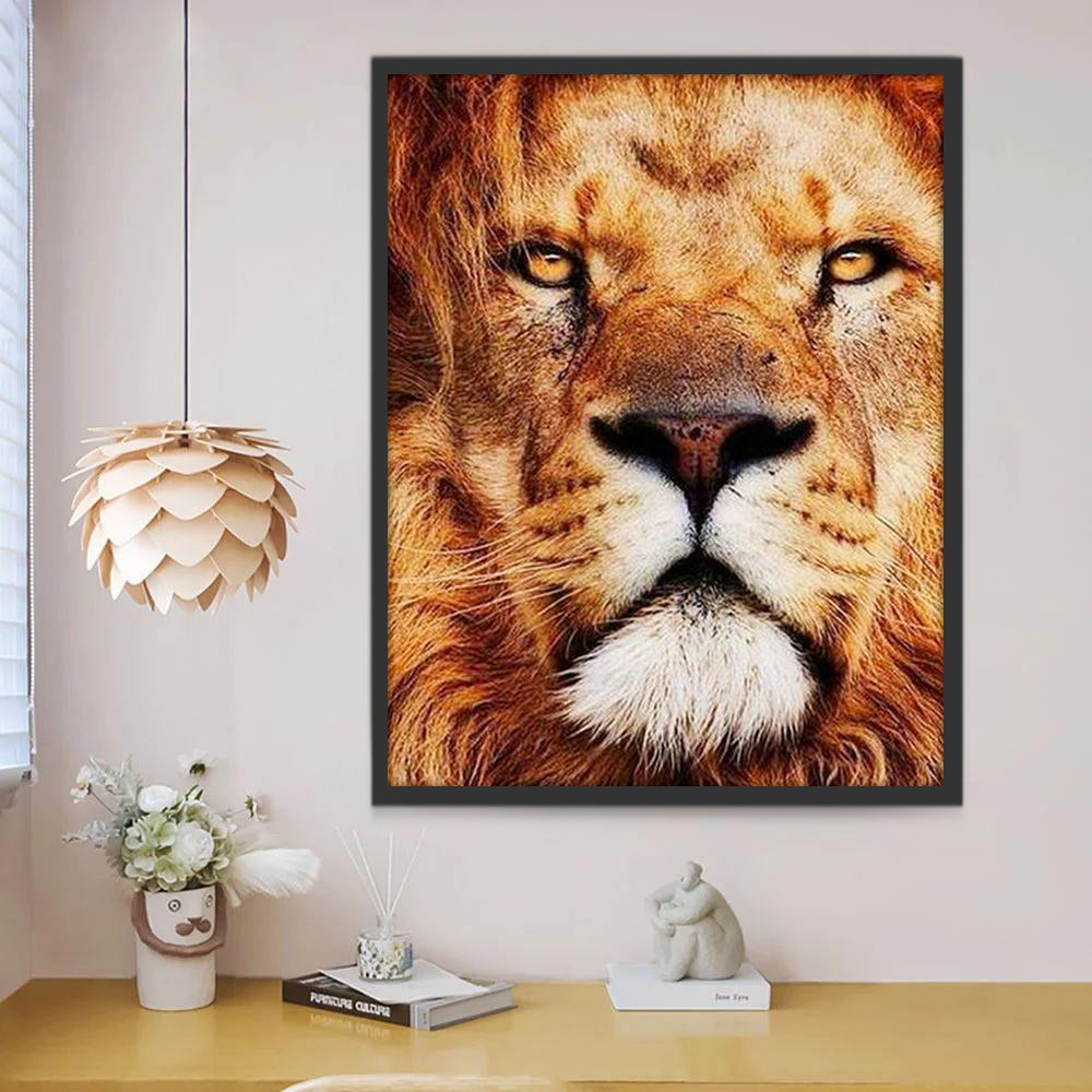 Rostro de León Pintar por Números