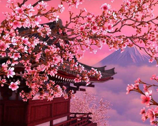 Sakura Rosada y El Monte Fuji Pintar por Números