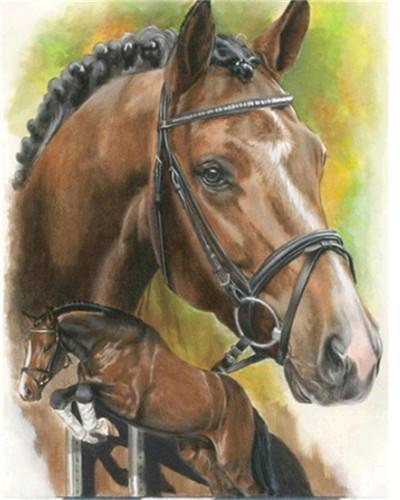 Salto de Caballo Marrón Pintar por Números