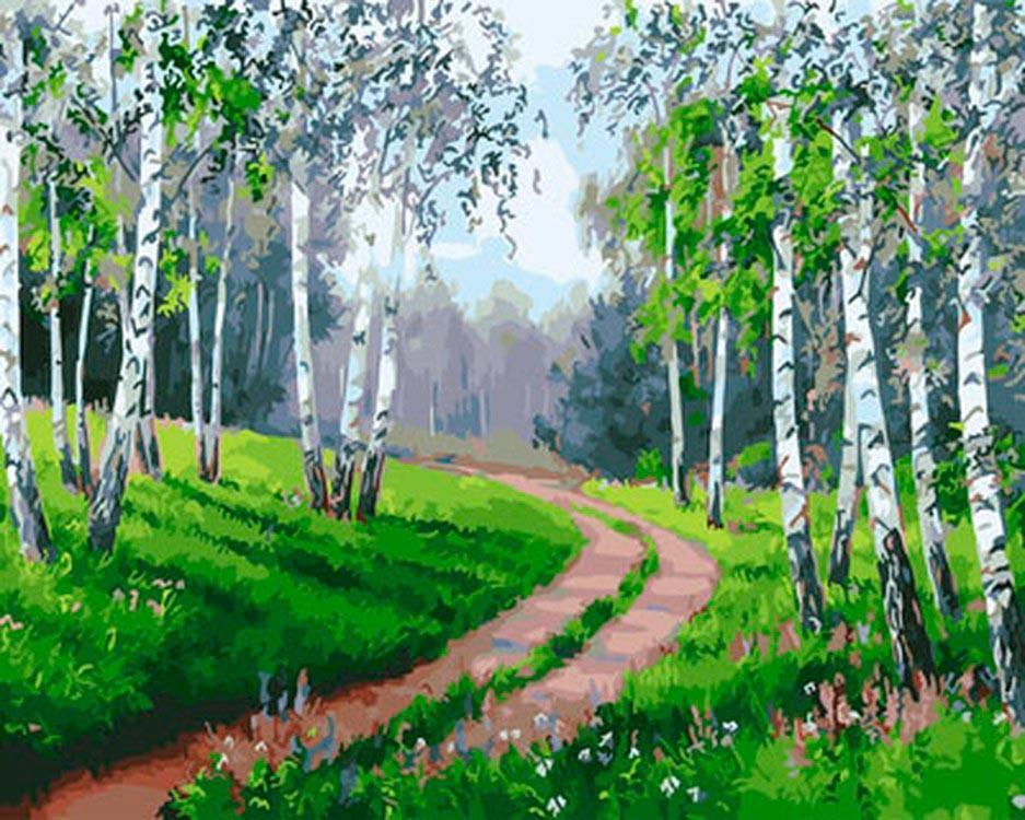 Sendero en el Bosque de Abedules Pintar por Números