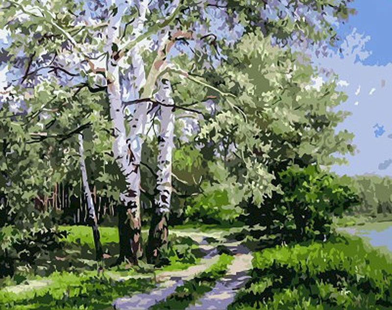Sendero y Árboles Verdes en el Bosque Pintar por Números