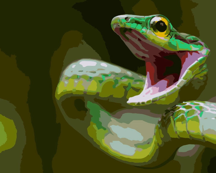 Serpiente Verde con Boca Abierta Pintar por Números