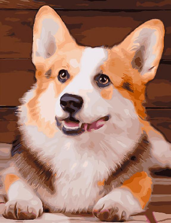 Shiba Inu con Sonrisa Pintar por Números