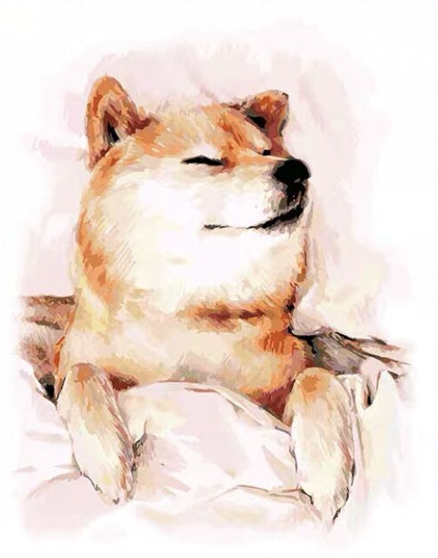 Shiba Inu Dormido Pintar por Números