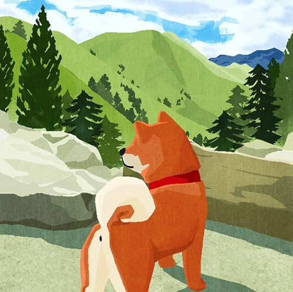 Shiba Inu en Ladera de Montaña Pintar por Números
