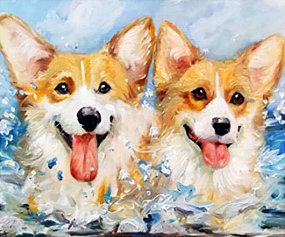 Shiba Inu Jugando en Agua Pintar por Números