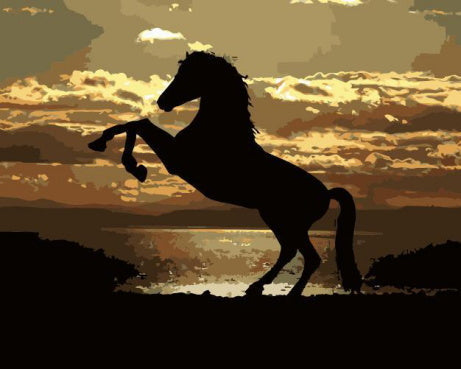 Silueta de Caballo y Puesta del Sol Pintar por Números