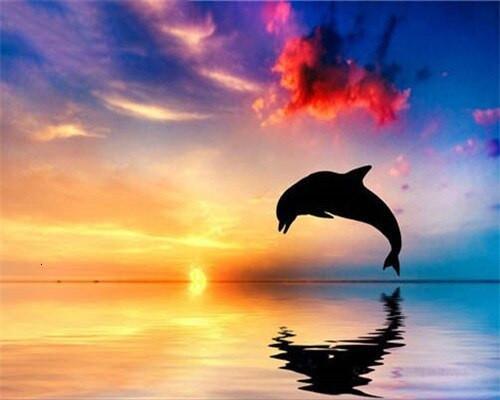 Silueta de Delfín y Puesta del Sol Pintar por Números