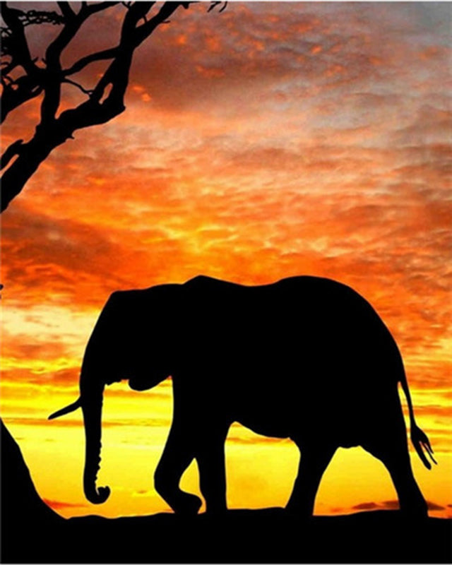 Silueta de Elefante al Atardecer Pintar por Números