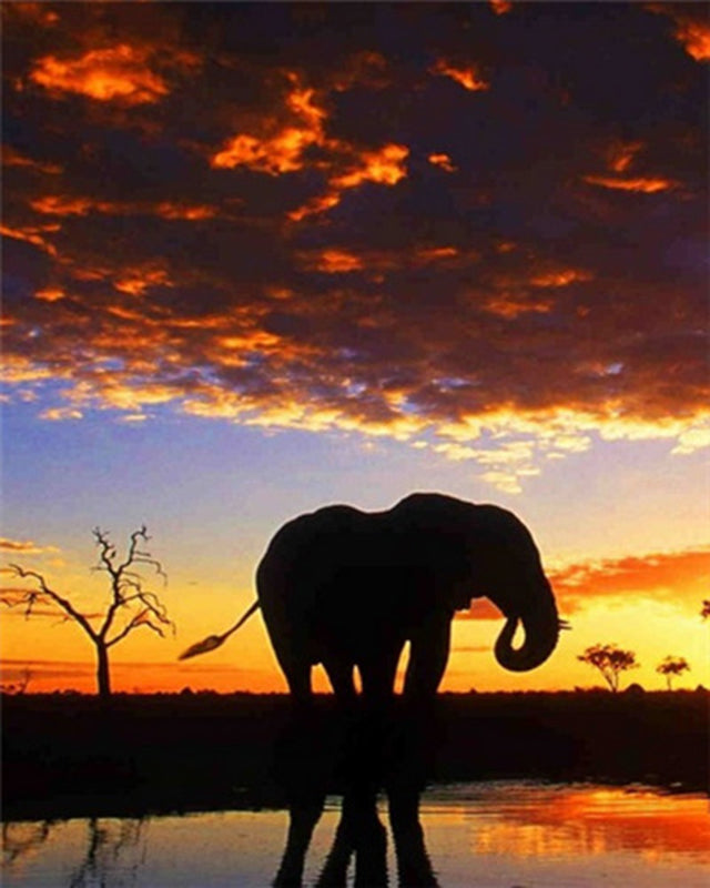 Silueta de Elefante Pintar por Números