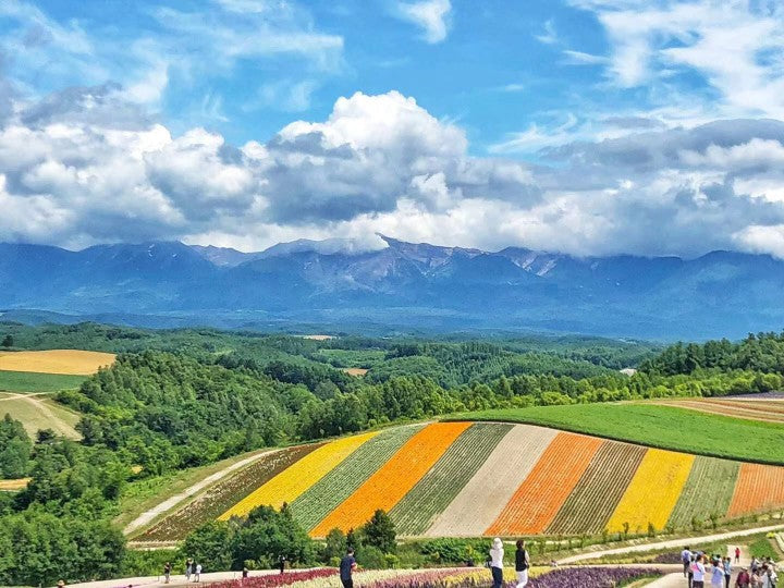 Terreno Colorido en la Ladera Pintar por Números