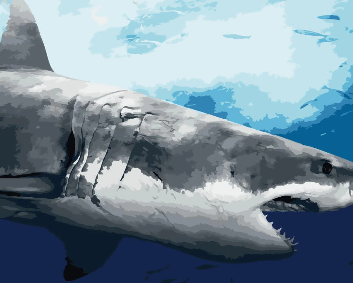 Tiburón en el Mar Pintar por Números