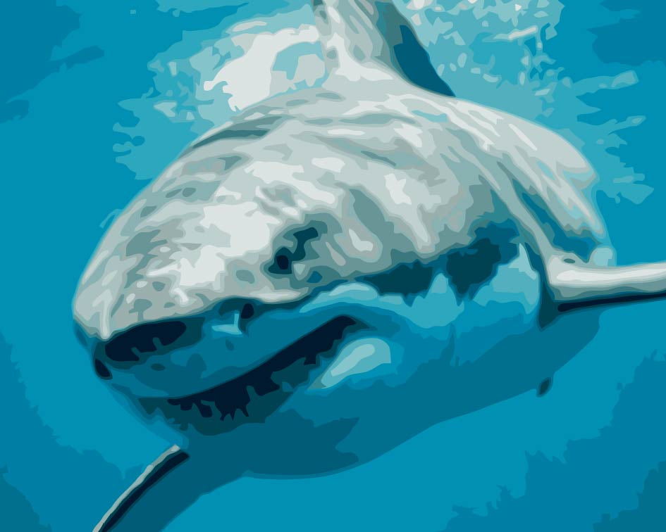 Tiburón en el Océano Pintar por Números