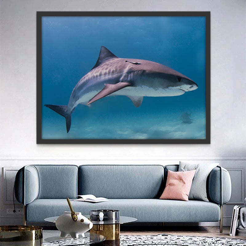 Tiburón Solo en el Fondo Marino Pintar por Números