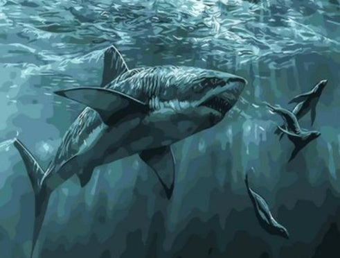 Tiburón y Tres Focas en el Mar Pintar por Números