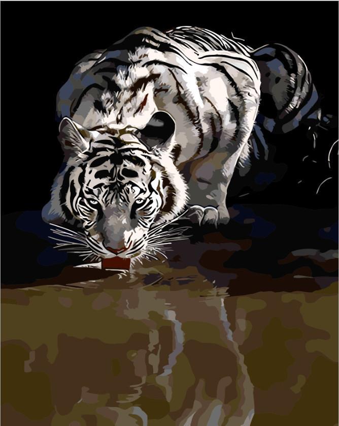 Tigre Bebiendo Agua Pintar por Números