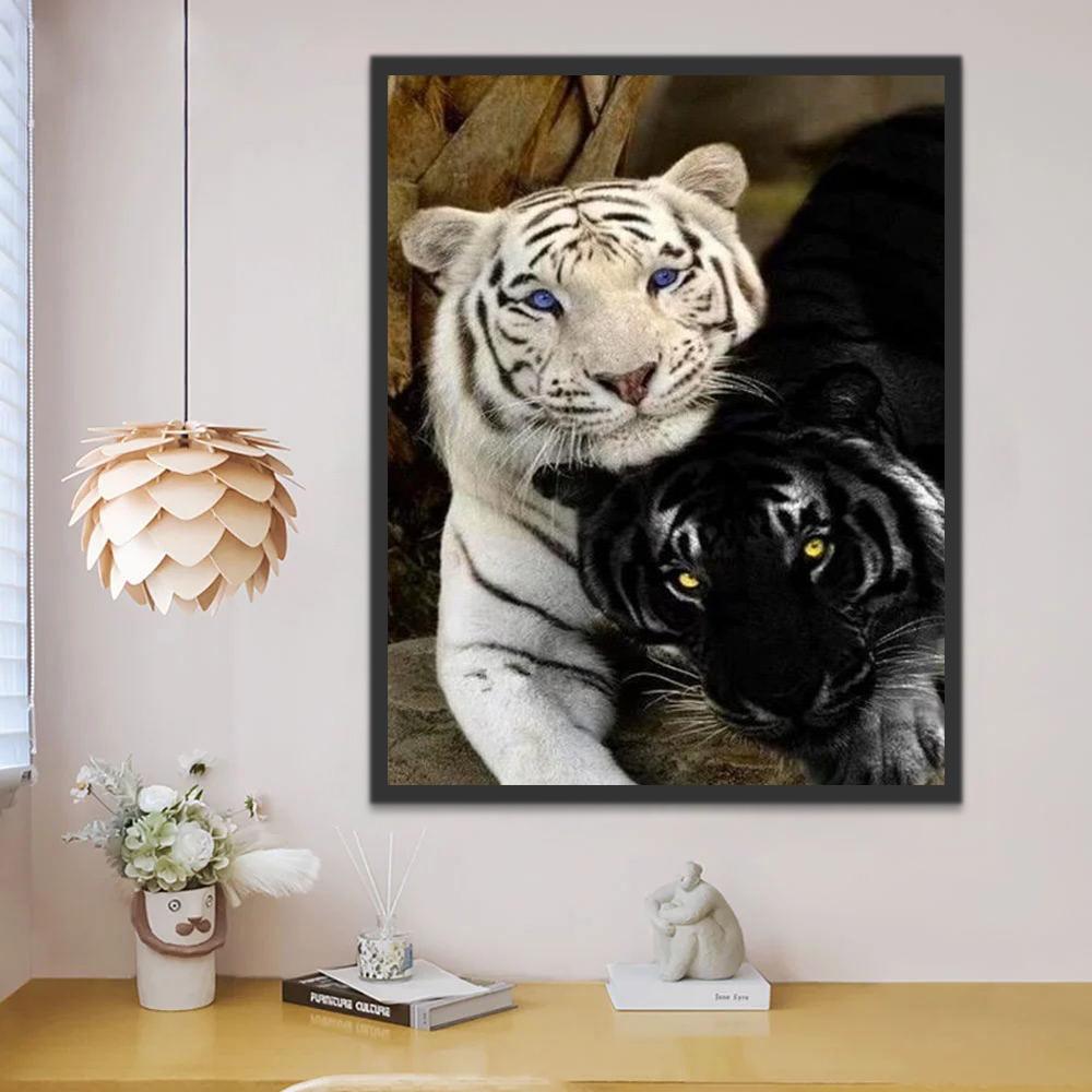 Tigre Blanco y Tigre Negro Pintar por Números