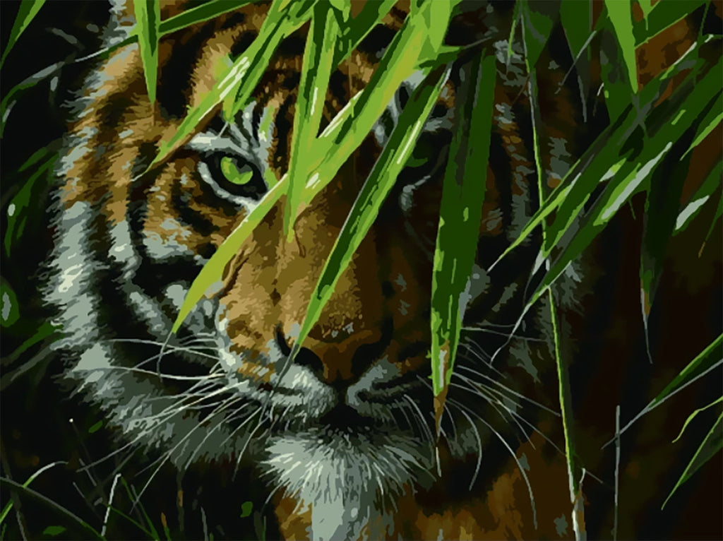 Tigre Detrás de Hojas Verdes Pintar por Números