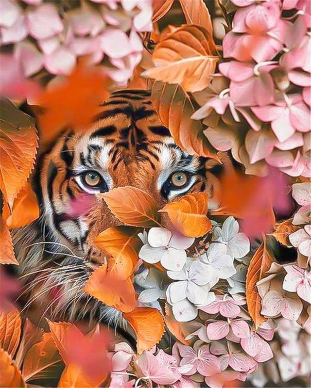 Tigre Detrás de Hortensias Rosadas Pintar por Números